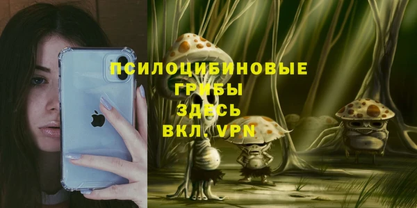 трава Абинск