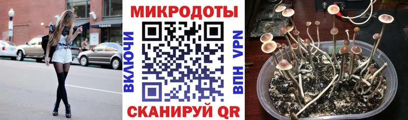 блэк спрут ONION  Тайга  Псилоцибиновые грибы Psilocybe  где купить наркоту 