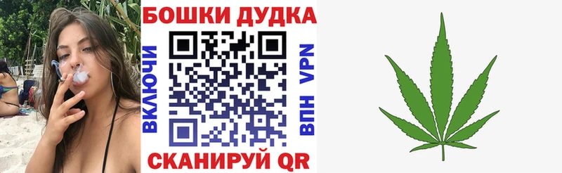 цена   Тайга  Бошки Шишки VHQ 